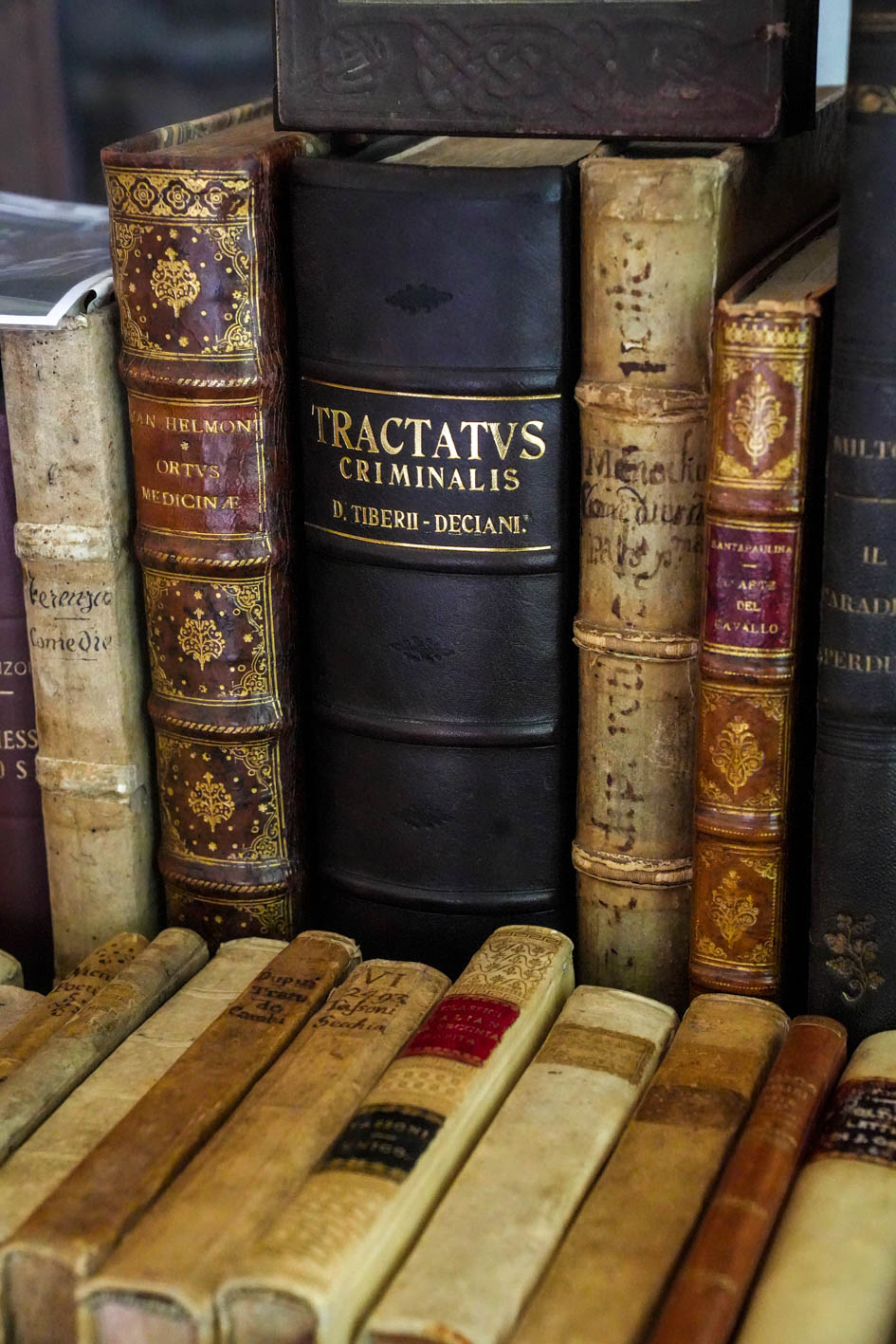 Mantova Libri Mappe Stampe