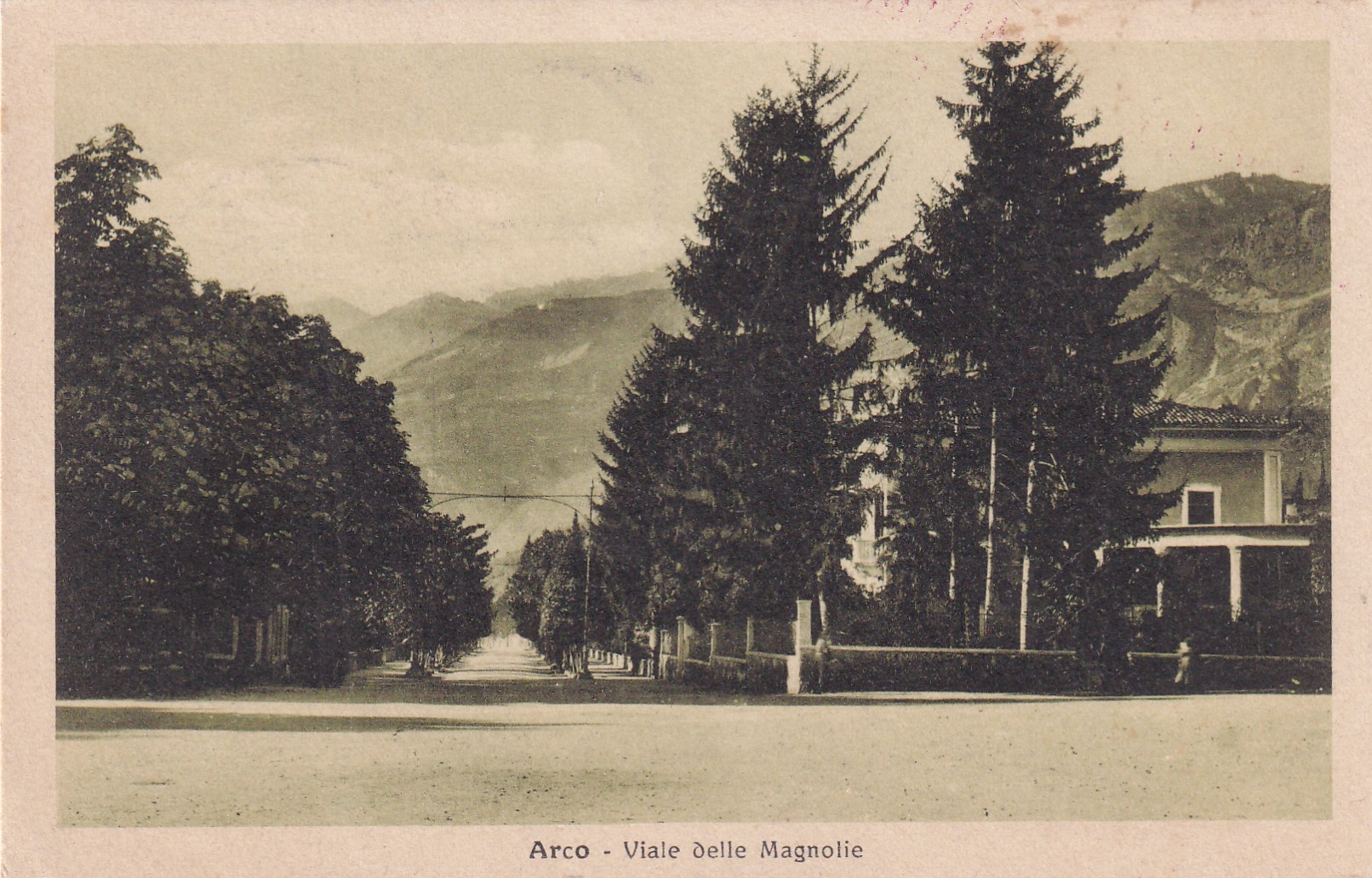 Cartolina ARCO - Viale delle Magnolie. Timbro 1° Reggimento Granatieri. …