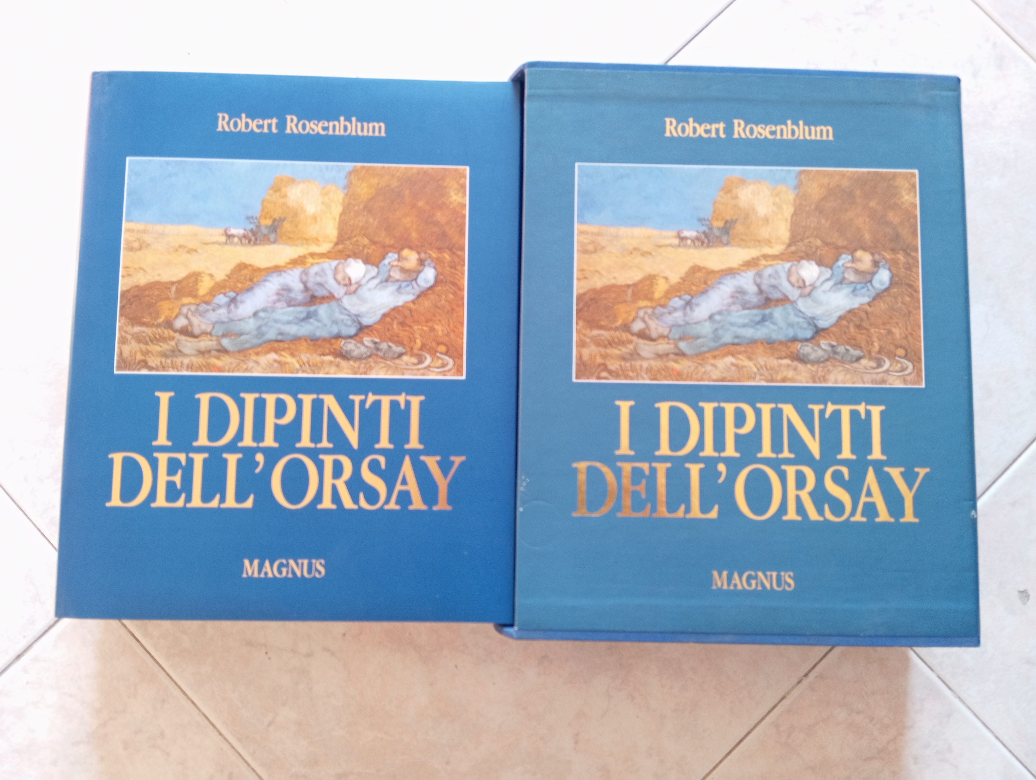 I dipinti dell'Orsay