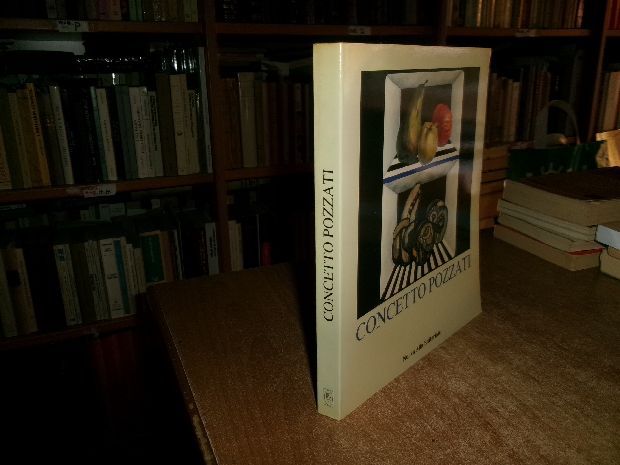 CONCETTO POZZATI antologica. Pier Giovanni Castagnoli, Silvia Evangelisti...1991