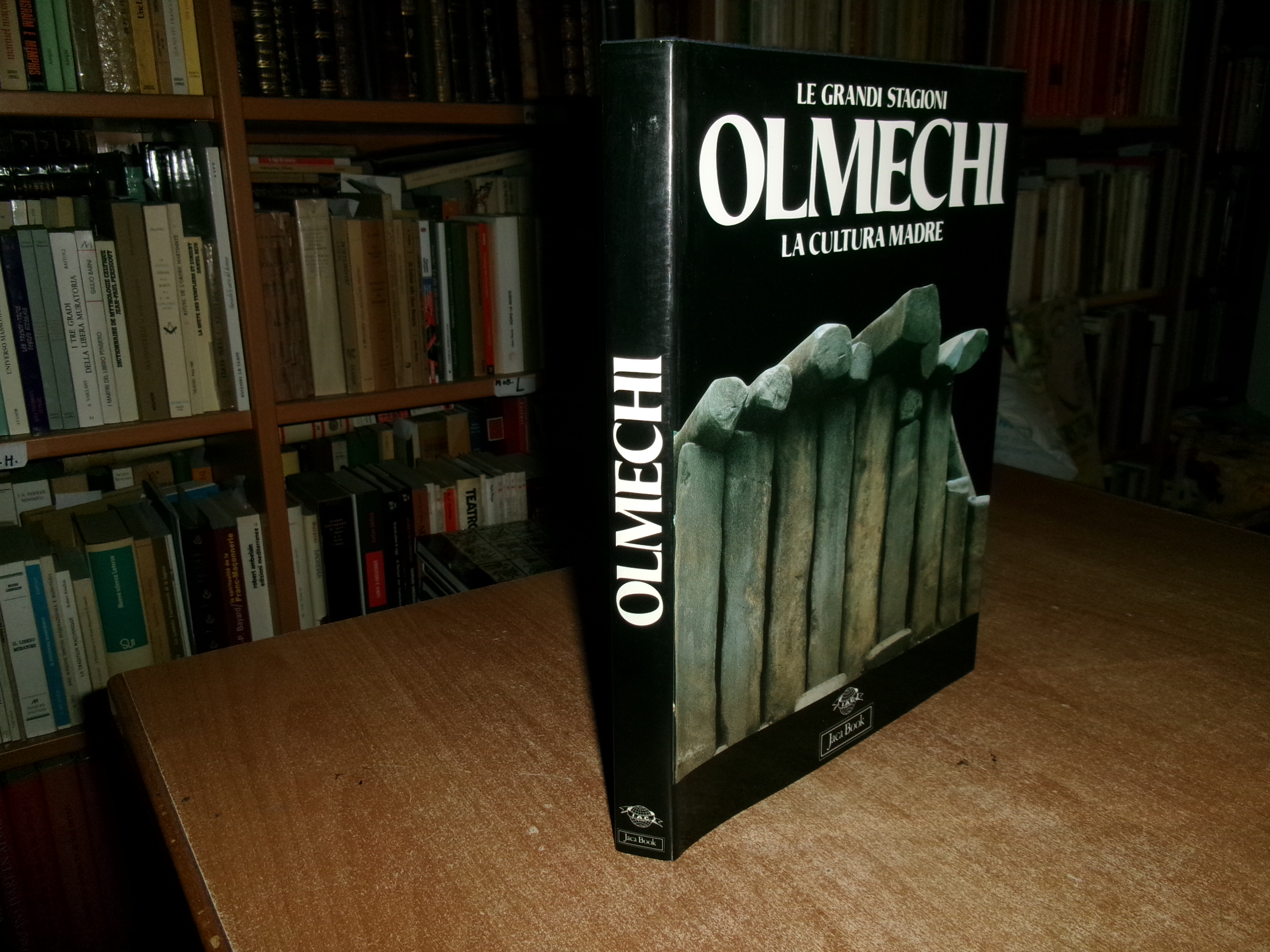 OLMECHI La Cultura Madre. ROMAN PINA CHAN 1989