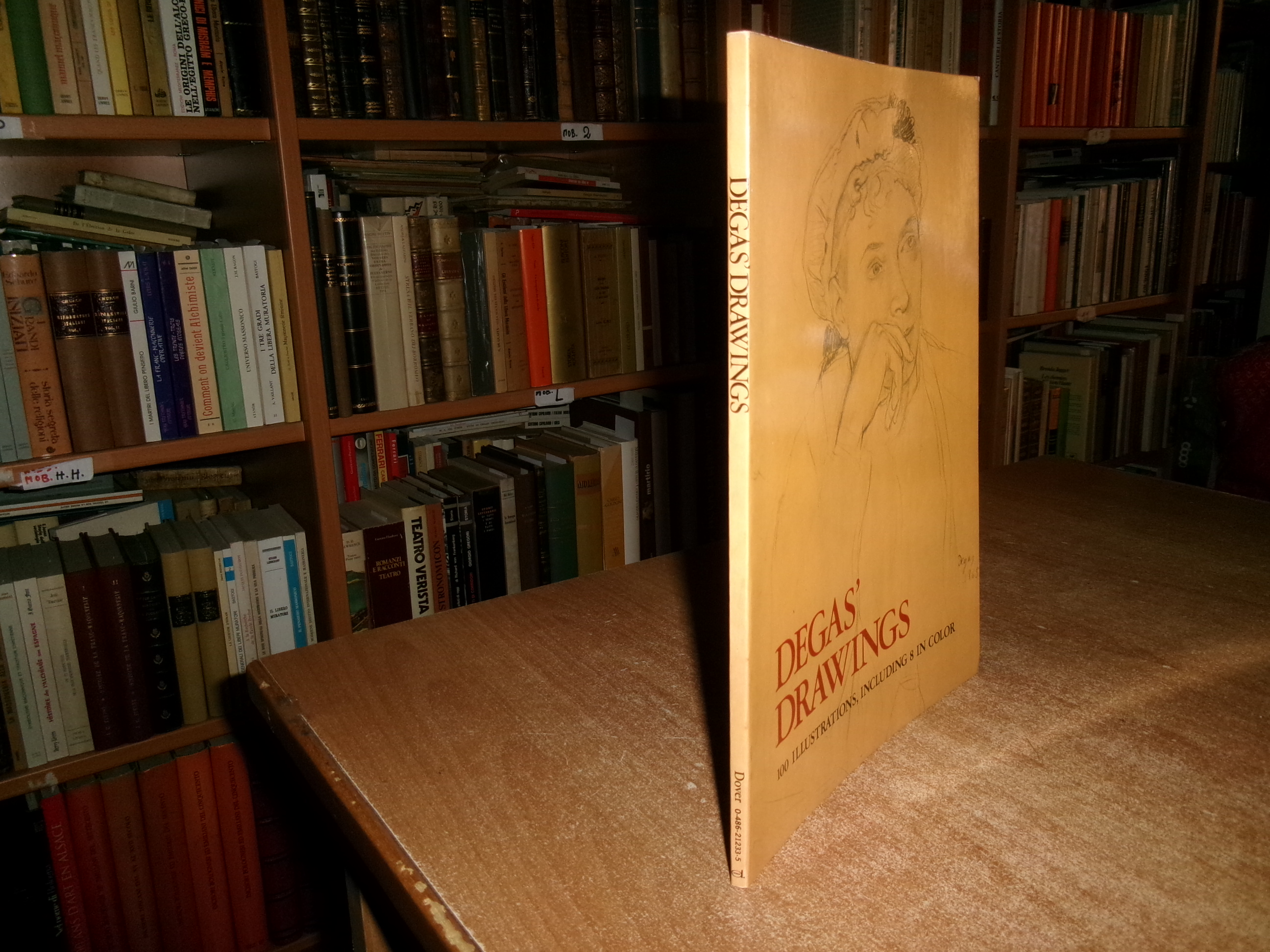 DEGAS' DRAWINGS 100 Illustrations, including 8 in color. 1973