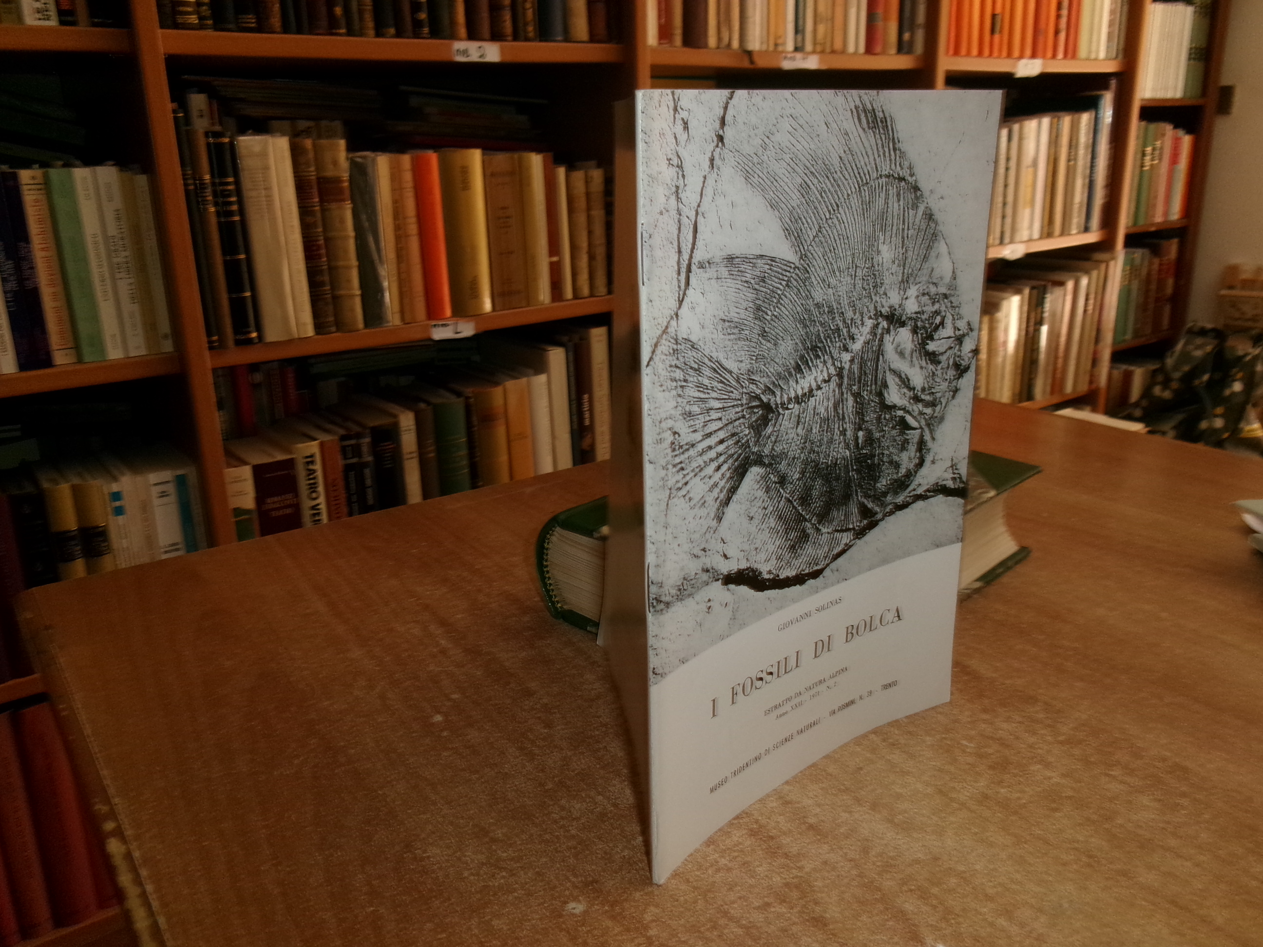 I Fossili di Bolca (Estratto da Natura Alpina...). GIOVANNI SOLINAS …