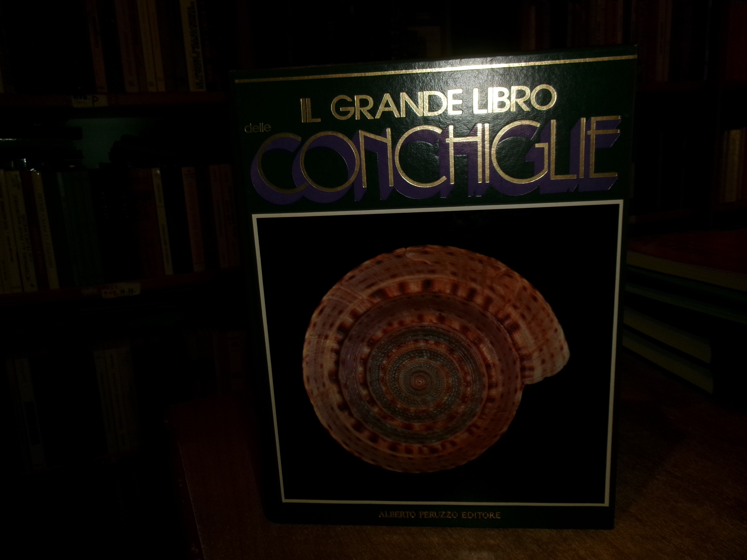 AA. VV. Il Grande Libro delle CONCHIGLIE. Alberto Peruzzo Editore …