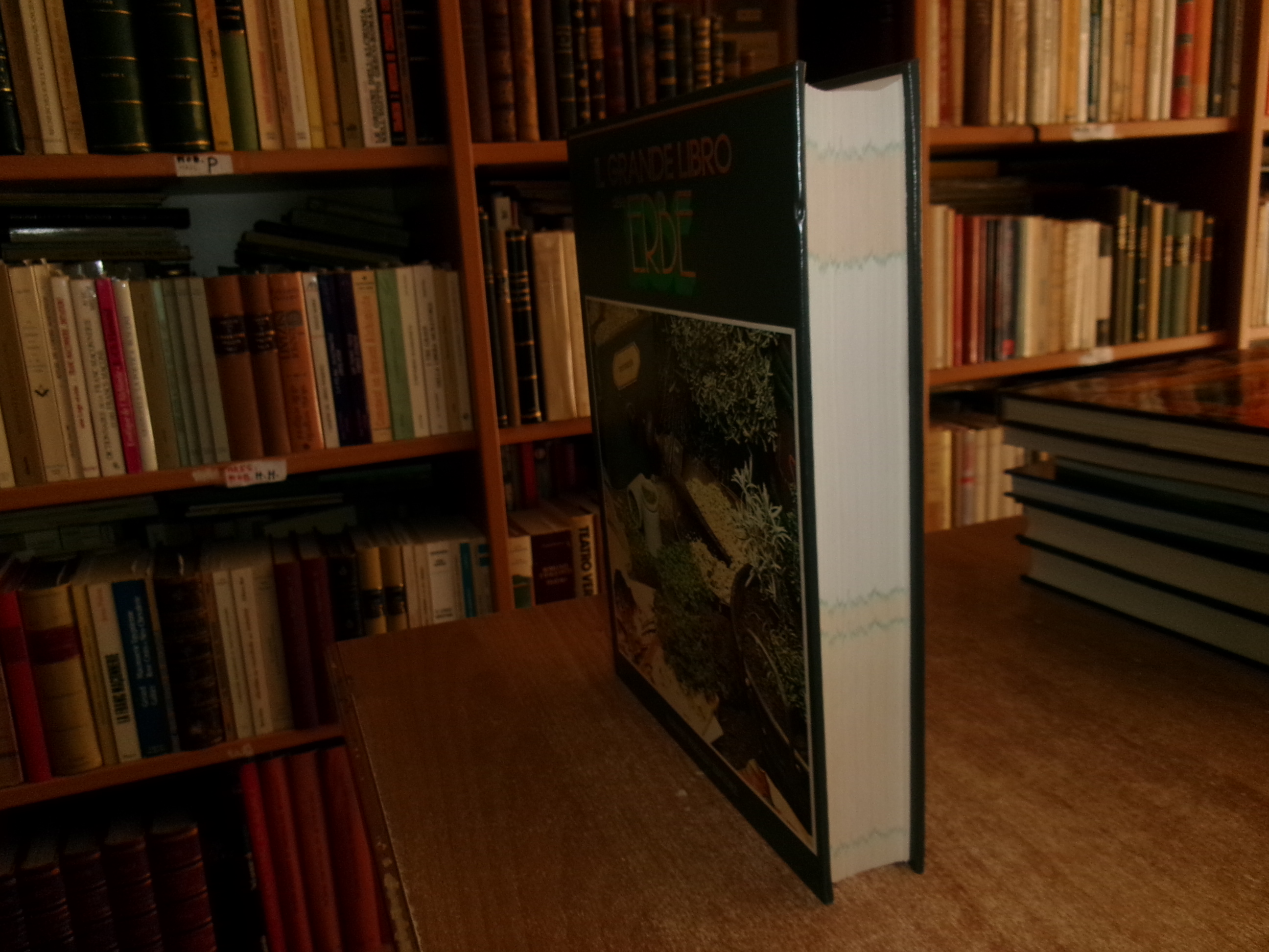 AA. VV. Il Grande Libro delle ERBE. Peruzzo 1988