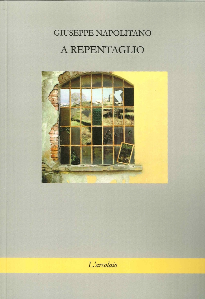 A repentaglio, Forlì, L'Arcolaio, 2015