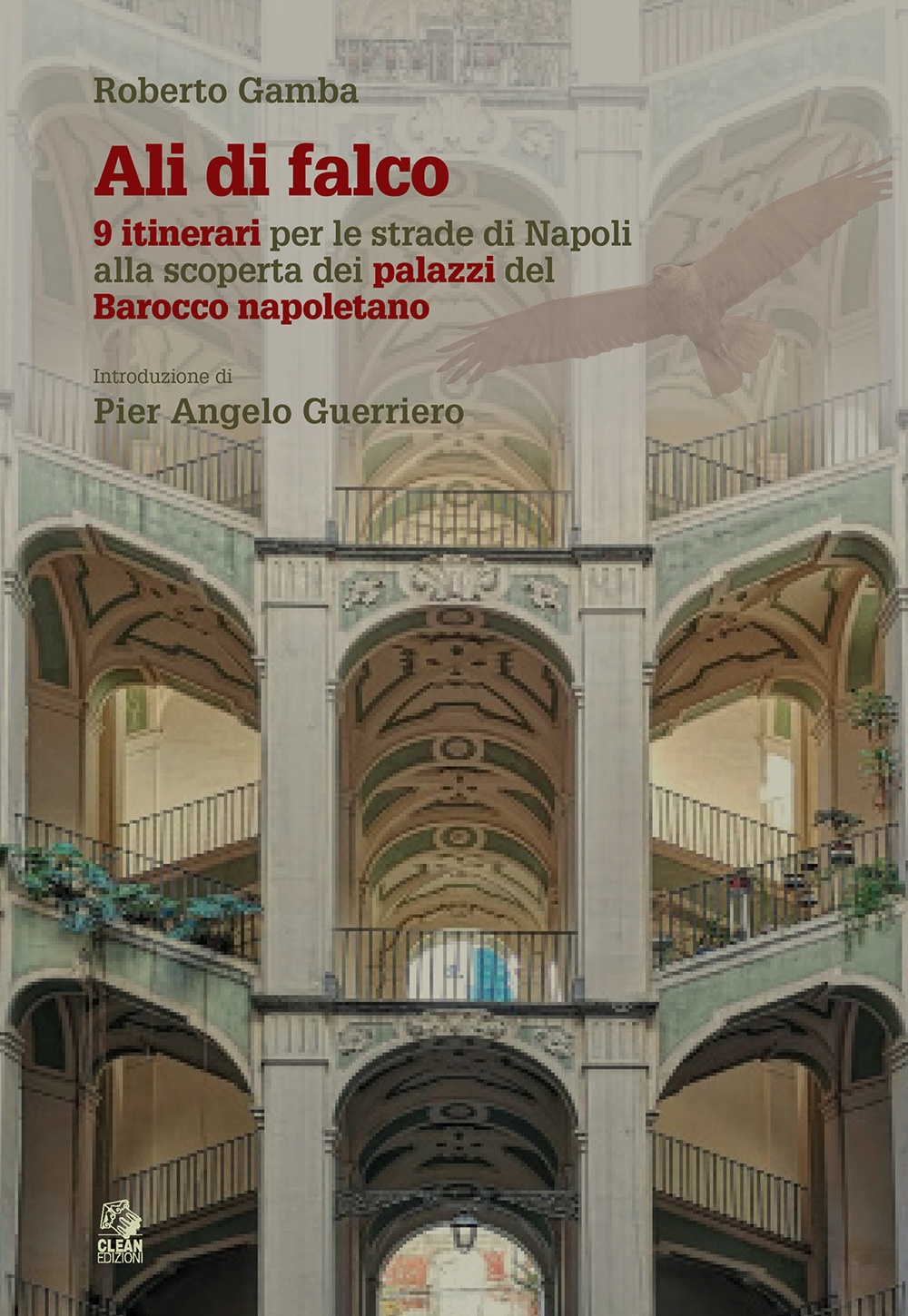 Ali di falco. 9 itinerari per le strade di Napoli