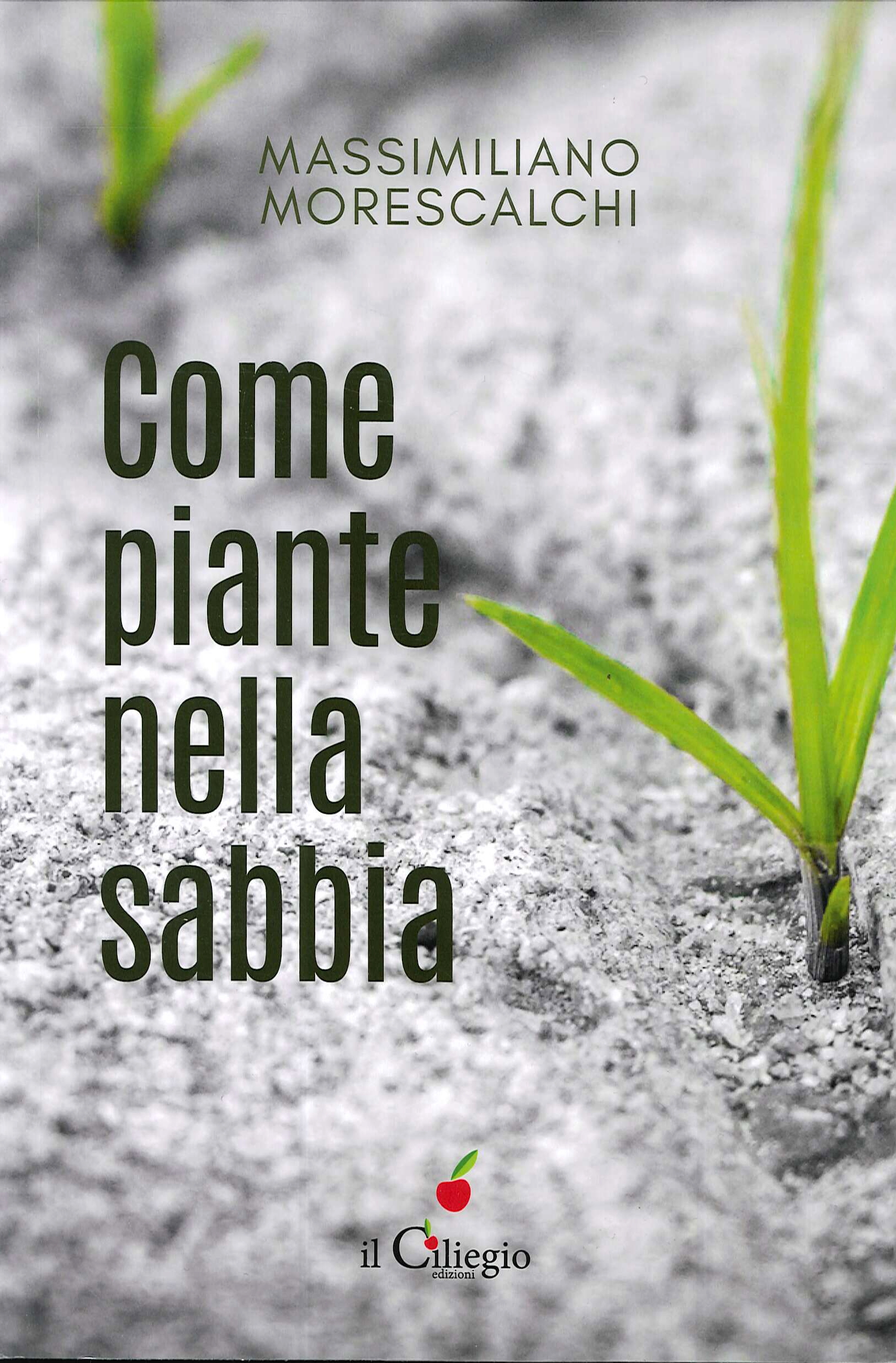 Come piante nella sabbia