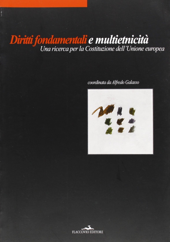 Diritti fondamentali e multietnicità. Una ricerca per la costituzione dell'Unione …