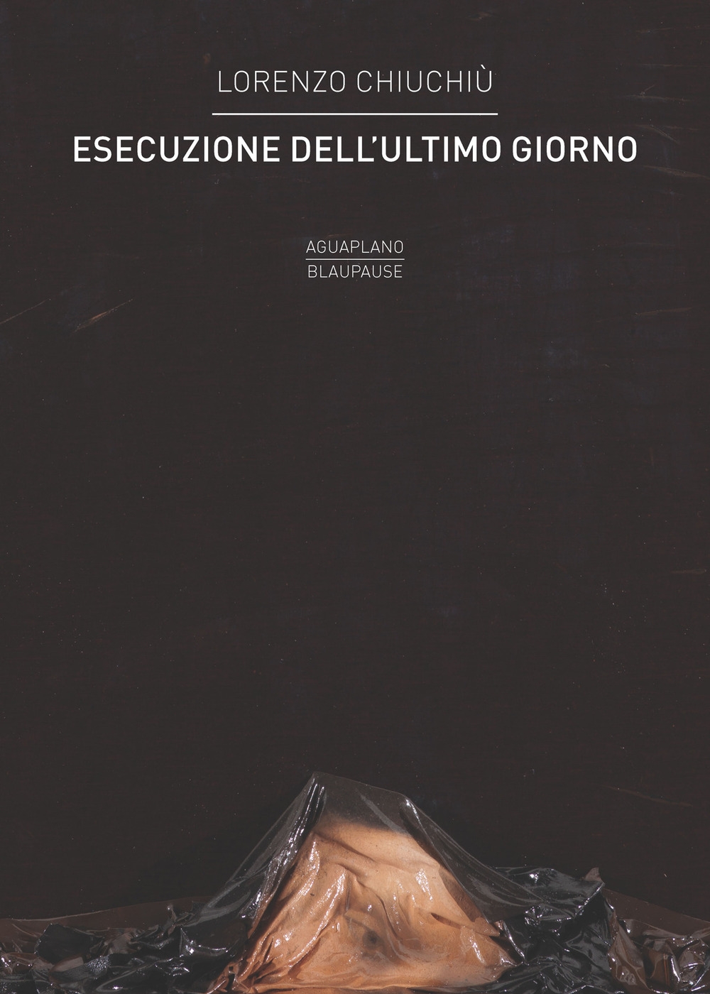 Esecuzione dell'ultimo giorno, Perugia, Aguaplano Libri, 2020