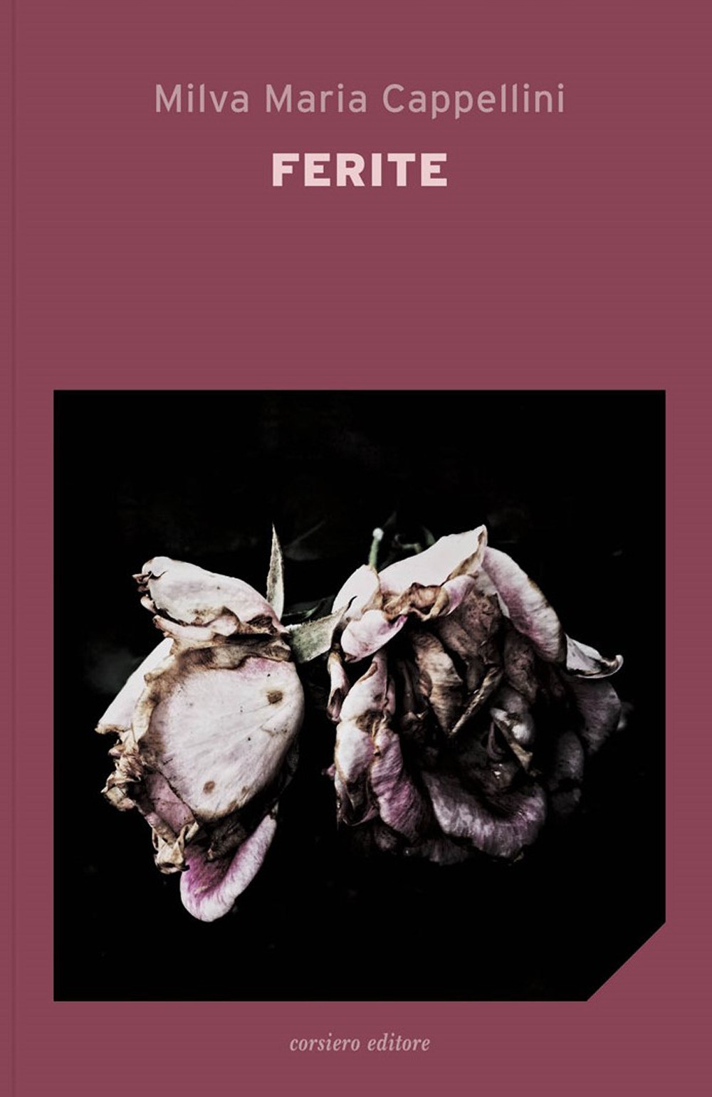 Ferite, Reggio Emilia, Corsiero Editore, 2021