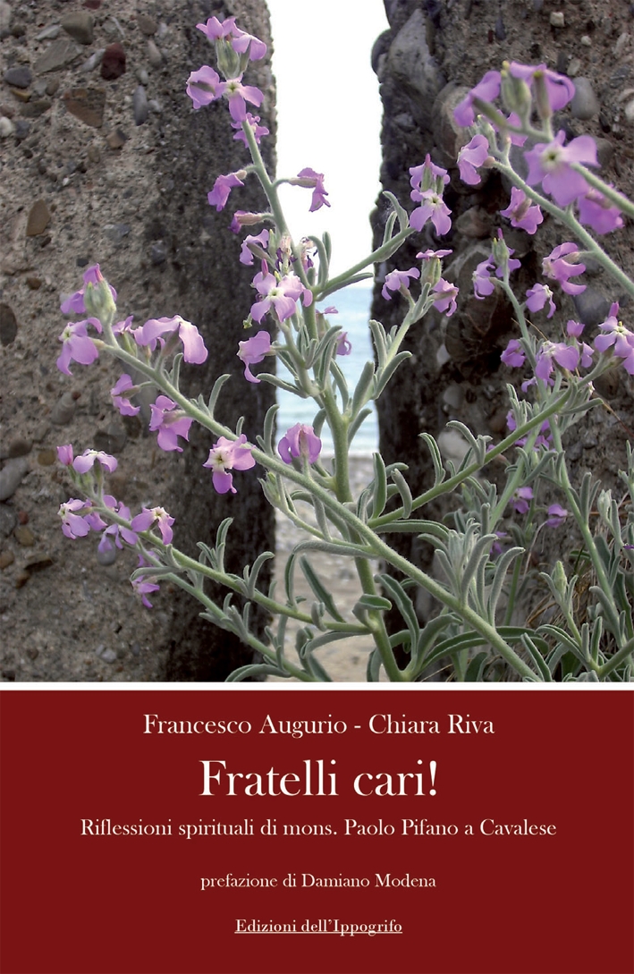 Fratelli Cari! Riflessioni Spiritualidi Mons. Paolo Pifano a Cavalese. [Con …