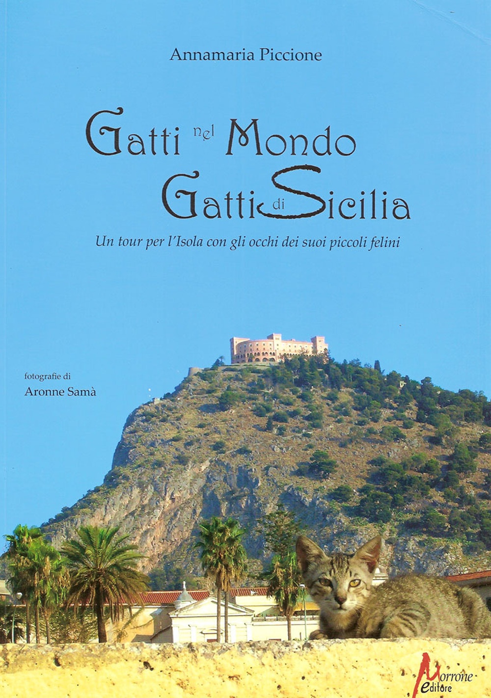 Gatti nel mondo, gatti di Sicilia. Un tour per l'isola …