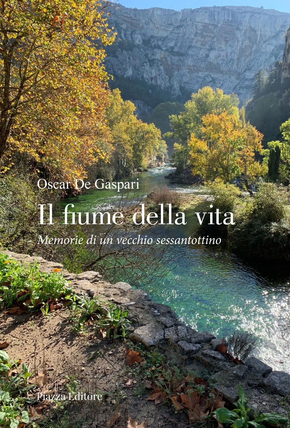 Il fiume della vita. Memorie di un vecchio sessantottino