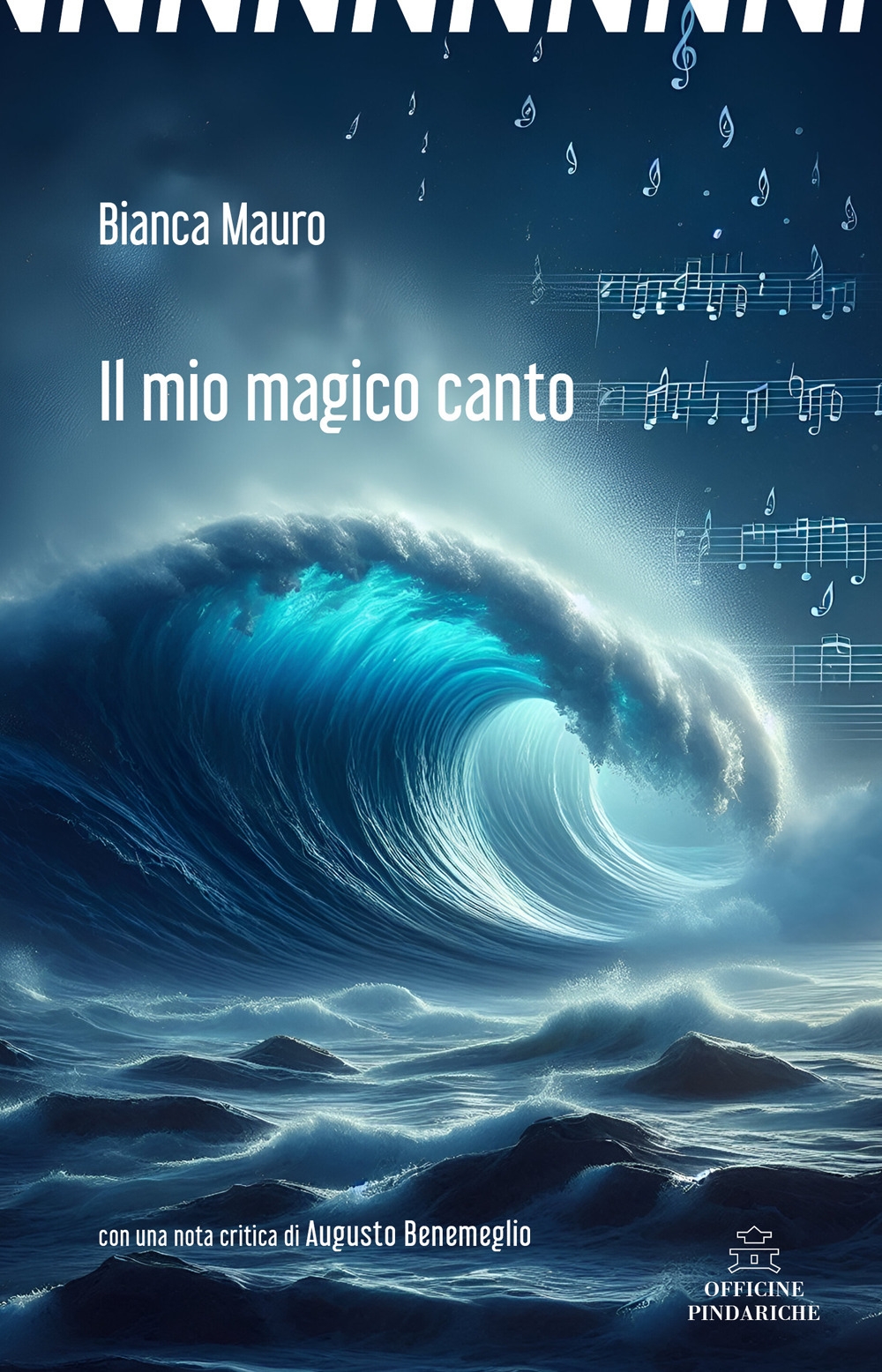 Il mio magico canto
