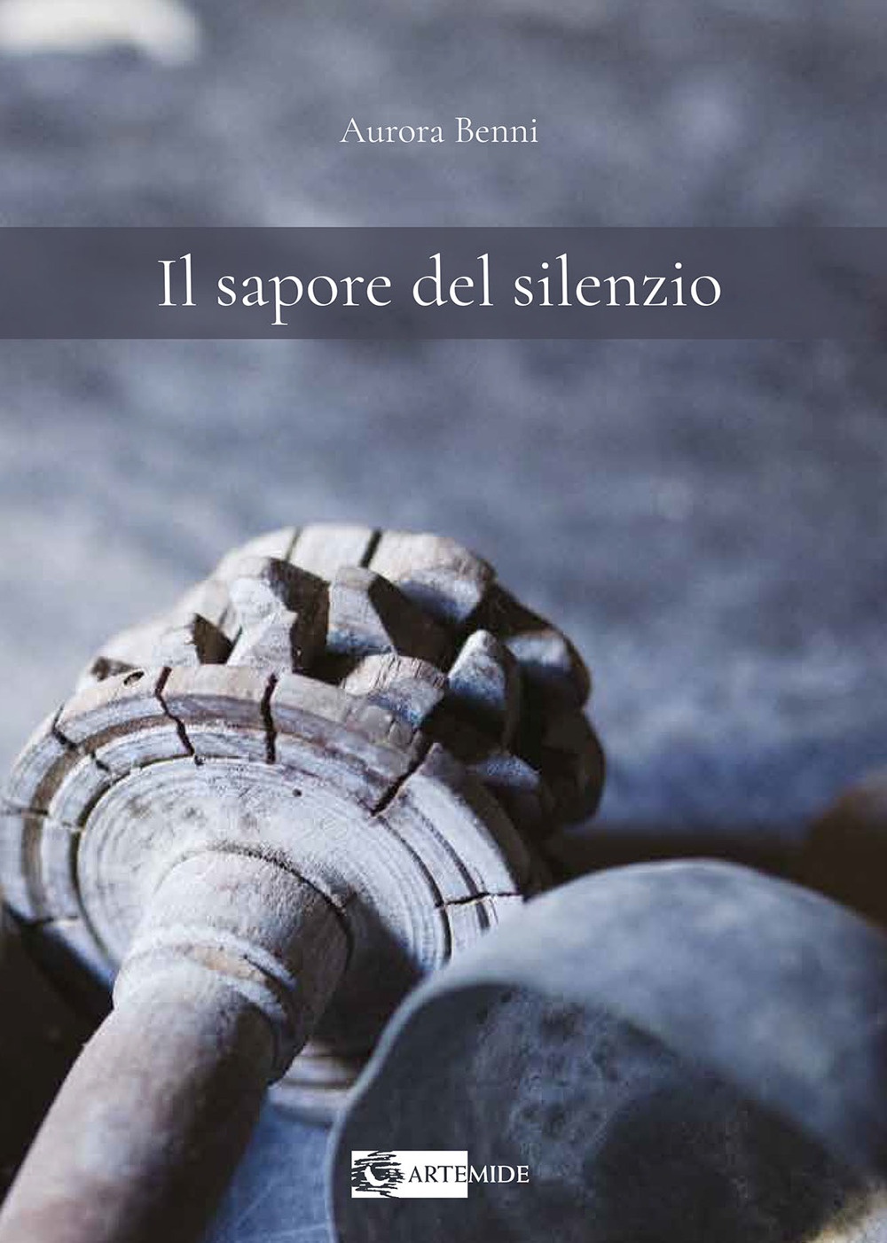 Il sapore del silenzio, Roma, Artemide Edizioni, 2023