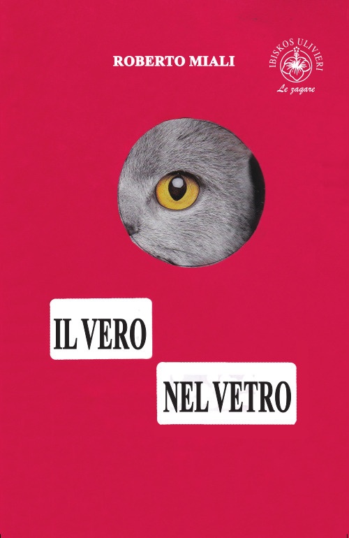Il Vero nel Vetro