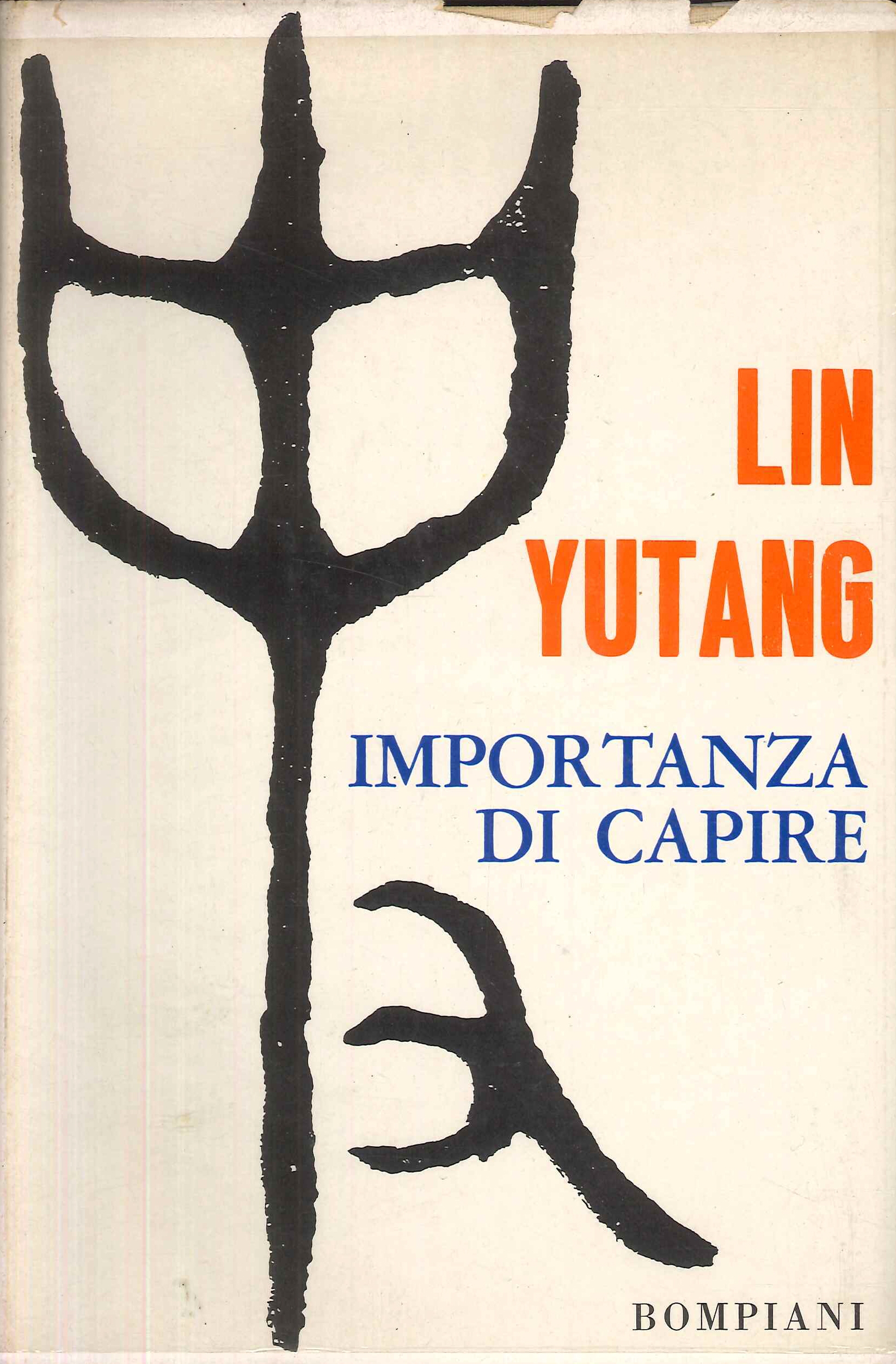 Importanza di capire
