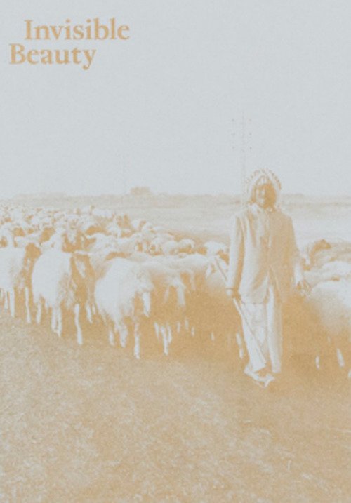 Invisible Beauty. The Pavilion of Iraq at the 56th Venice …