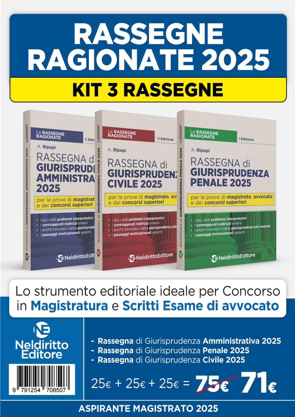 Kit 3 rassegne di Civile, Penale e Amministrativo 2025 per …