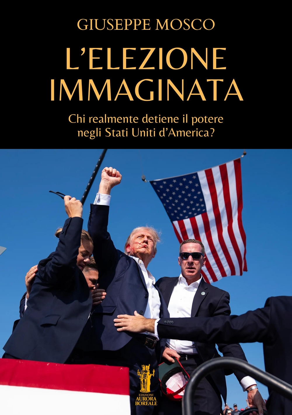 L'elezione immaginata
