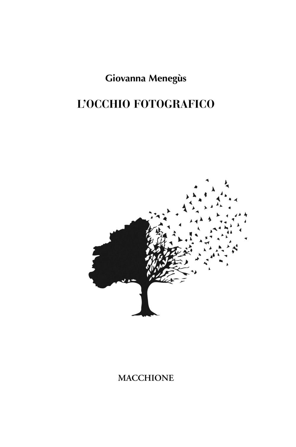 L'occhio fotografico, Varese, Macchione Editore, 2018