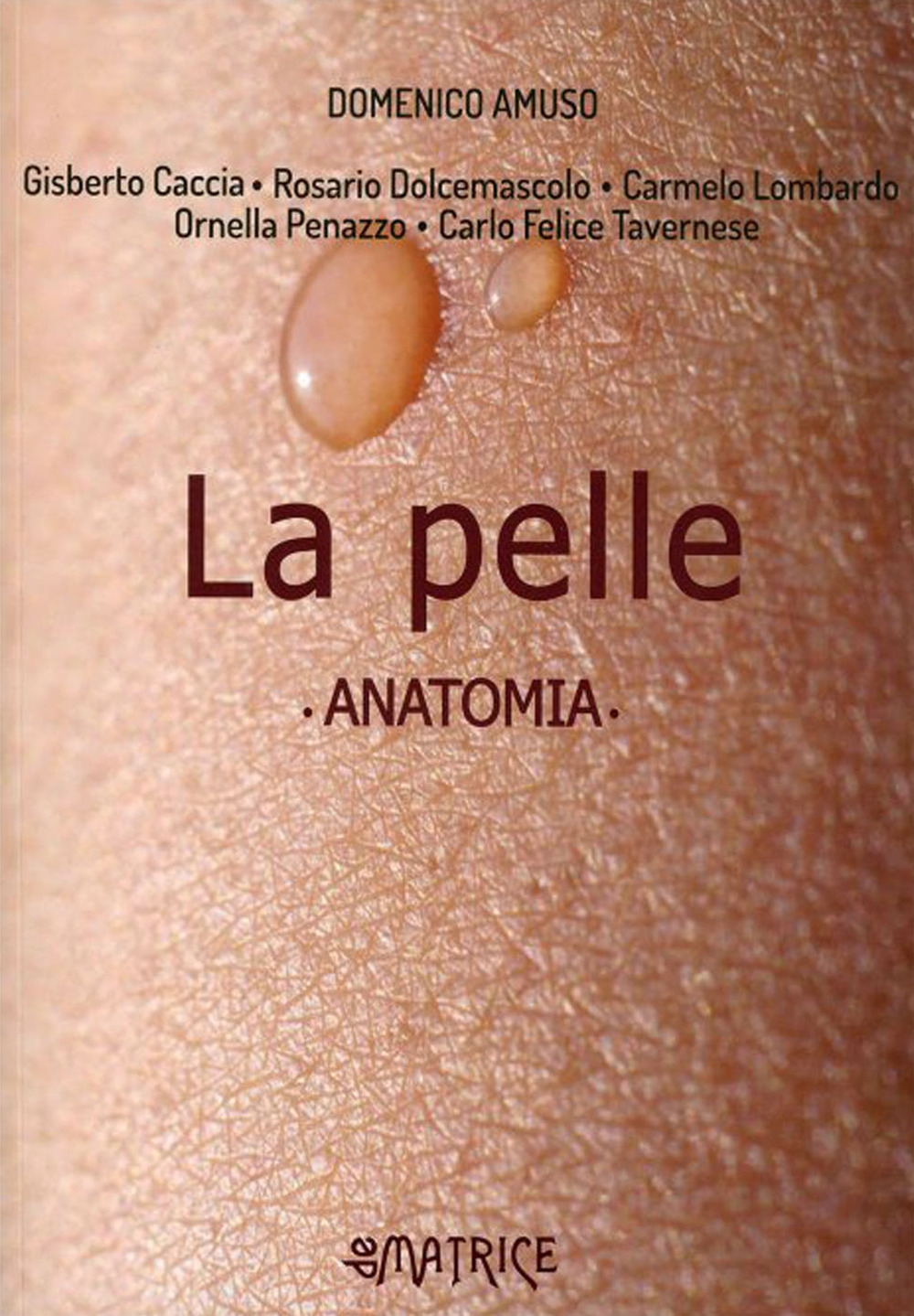 La pelle anatomia
