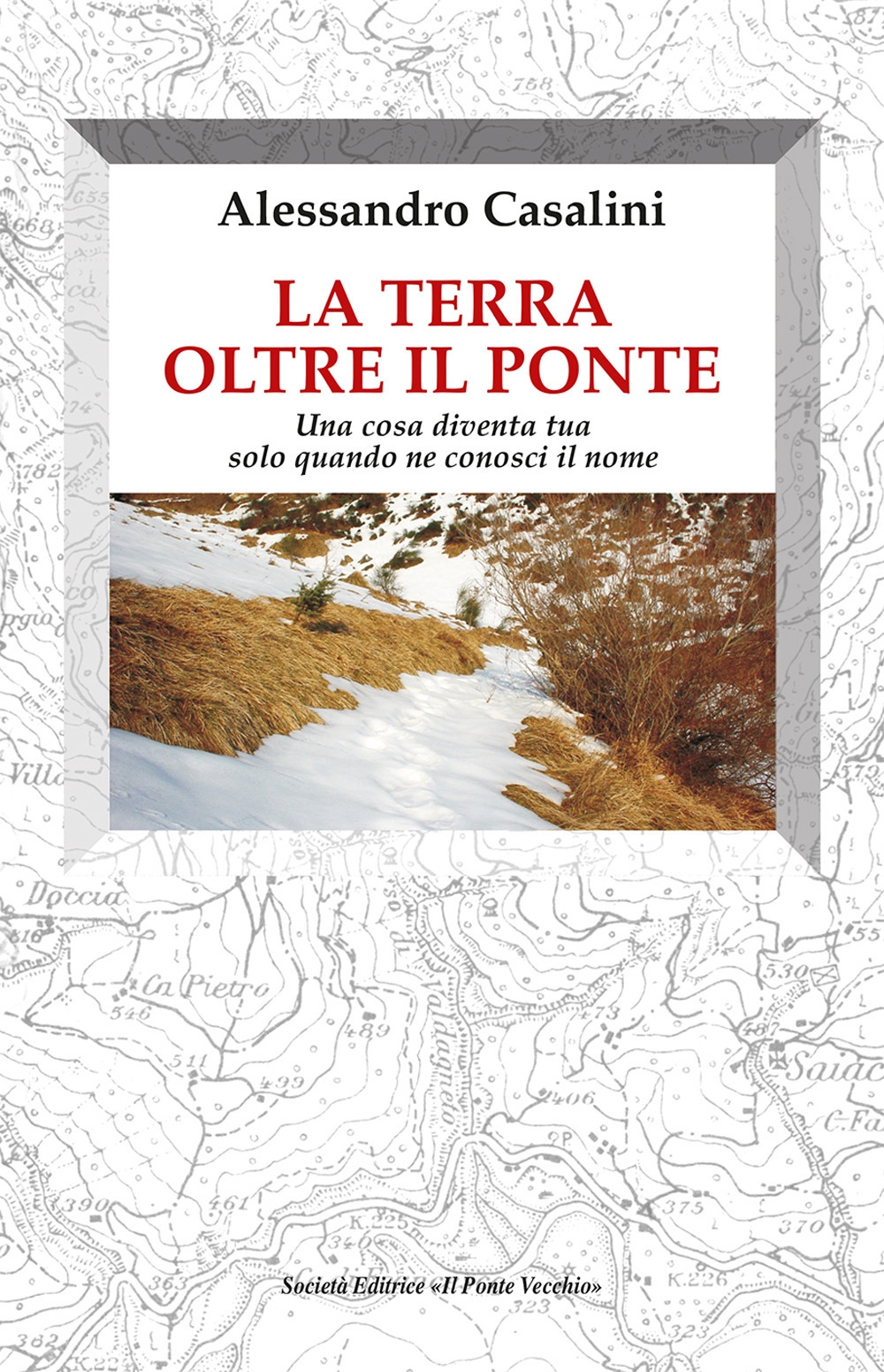 La terra oltre il ponte. Una cosa diventa tua solo …