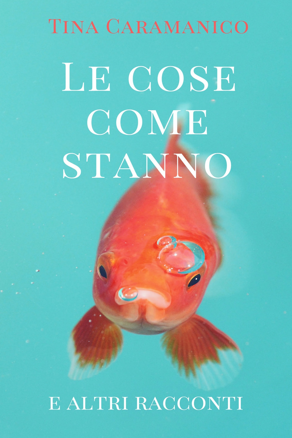 Le cose come stanno e altri racconti, Tricase, youcanprint, 2016