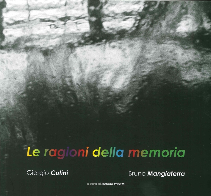 Le ragioni della memoria, Ancona, Il Lavoro Editoriale, 2015