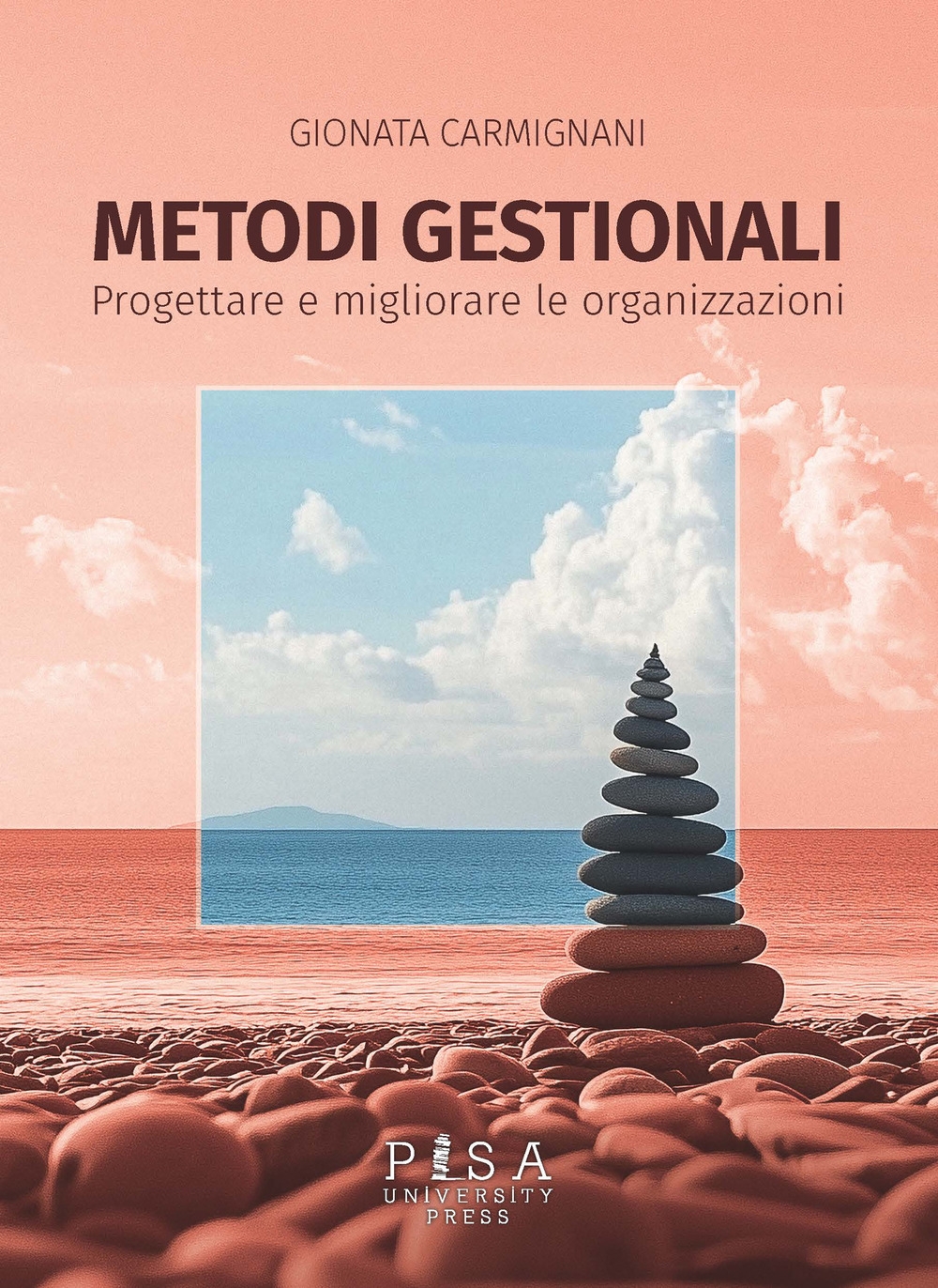 Metodi gestionali. Progettare e migliorare le organizzazioni