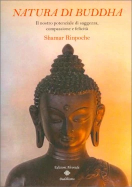 Natura di Buddha. Il nostro potenziale di saggezza, compassione e …