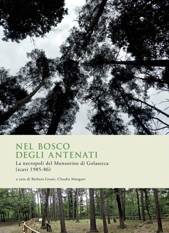 Nel bosco degli antenati. La necropoli del Monsorino di Golasecca …