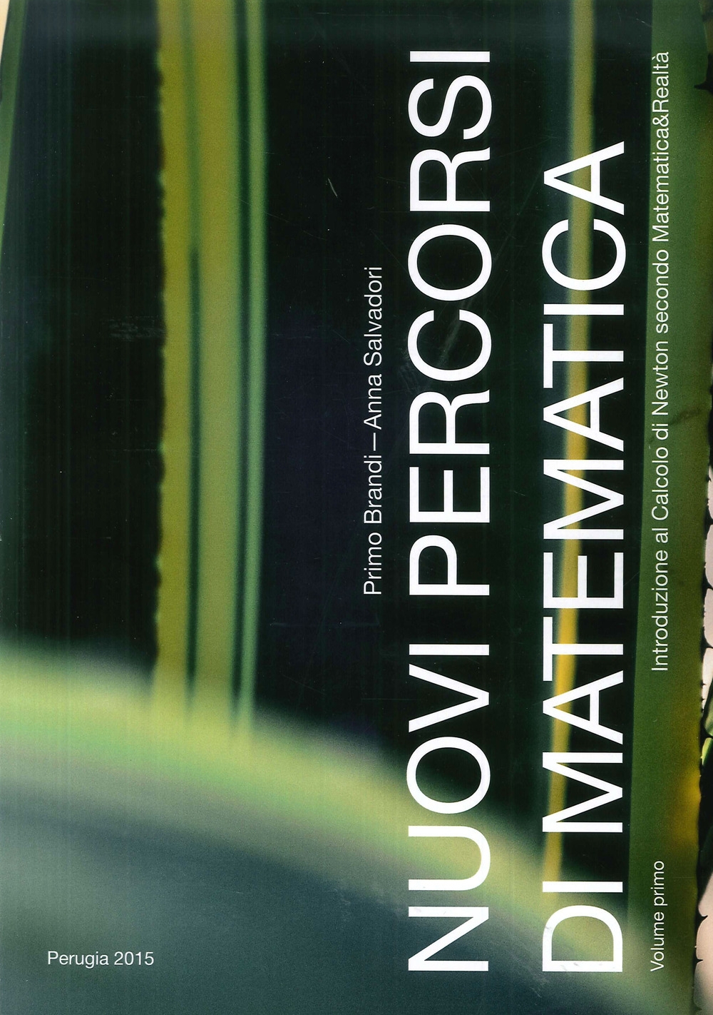 Nuovi percorsi di matematica. Volume primo