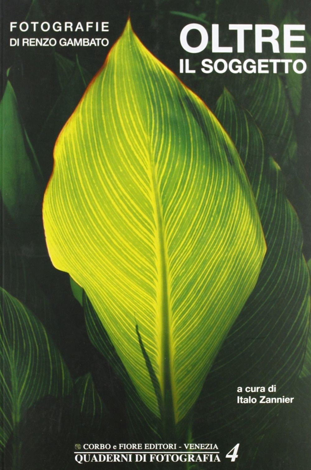 Oltre il Soggetto, Mestre, Fiore Editore d'Arte, 2009