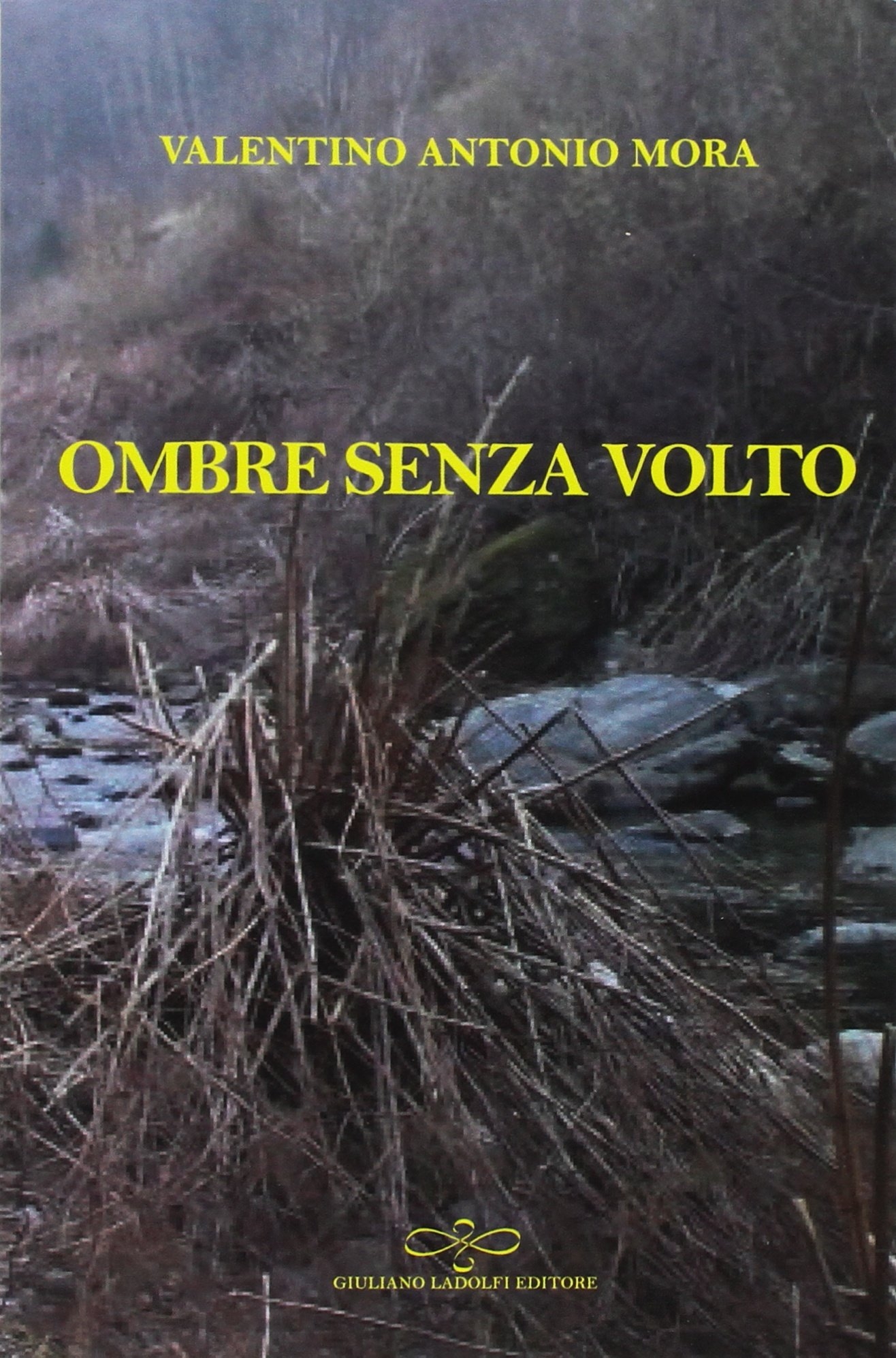 Ombre senza volto, Borgomanero, Giuliano Ladolfi Editore, 2018