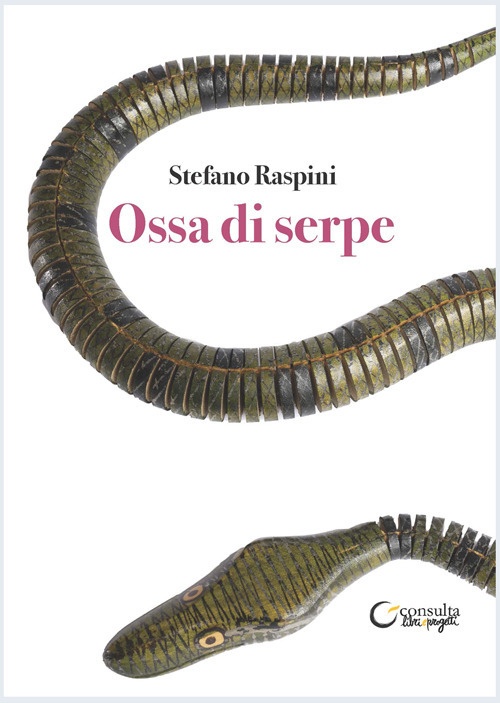 Ossa di serpe. Laboratori creativi sul libro della Scuola Primaria …