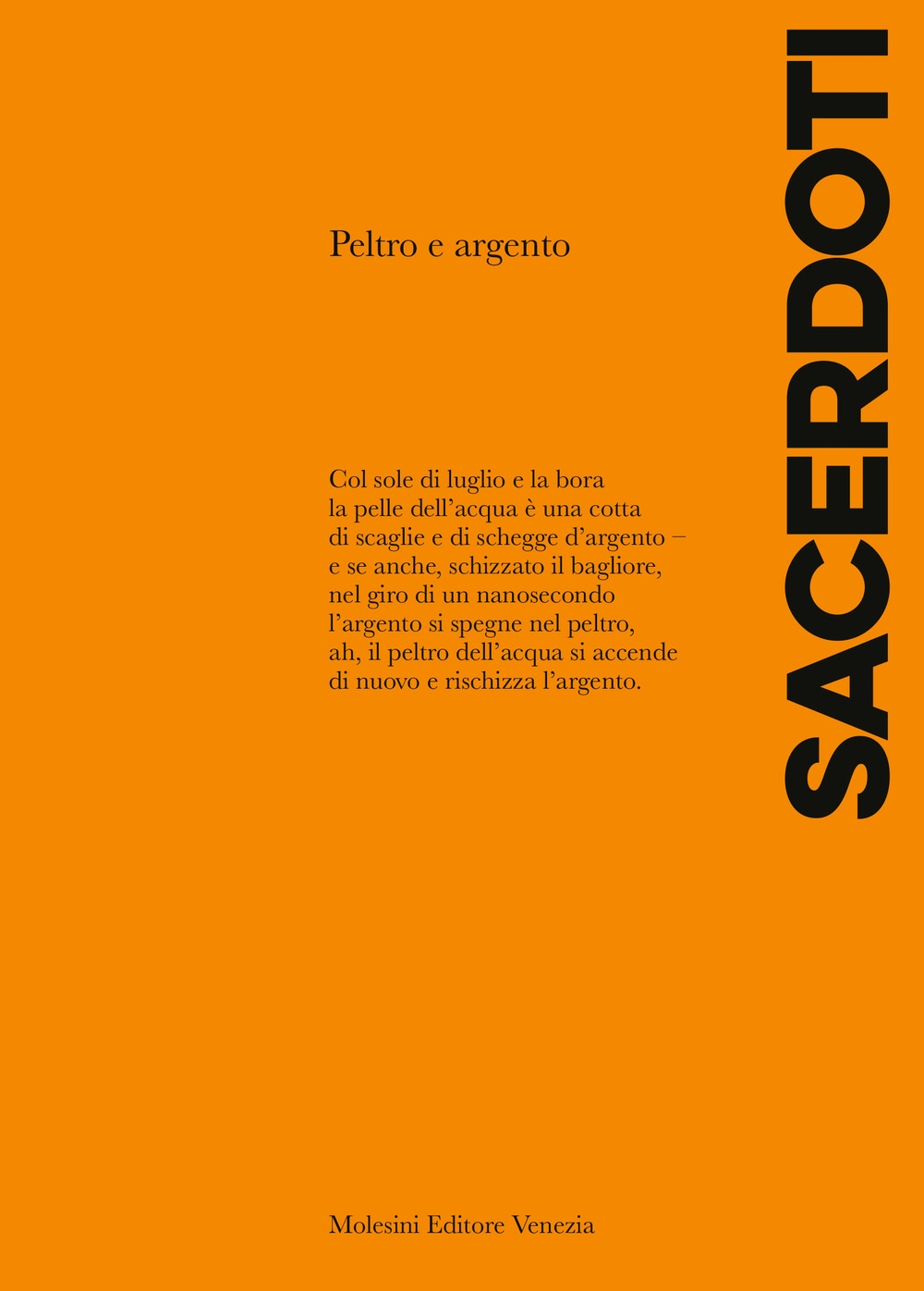 Peltro e argento. Nuova ediz