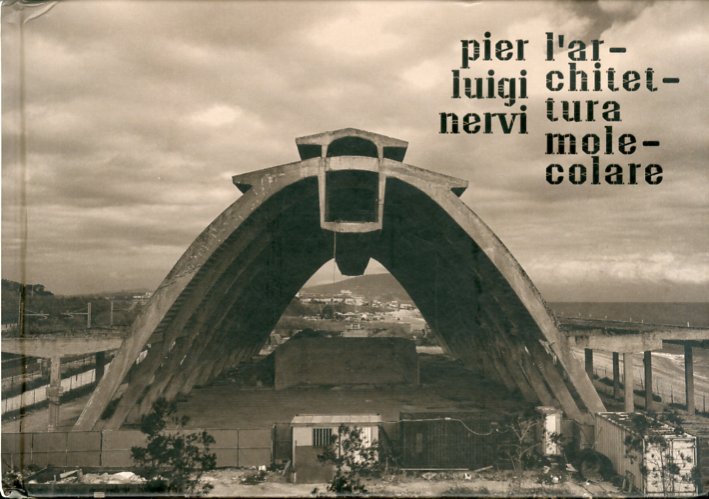 Pier Luigi Nervi. L'architettura molecolare