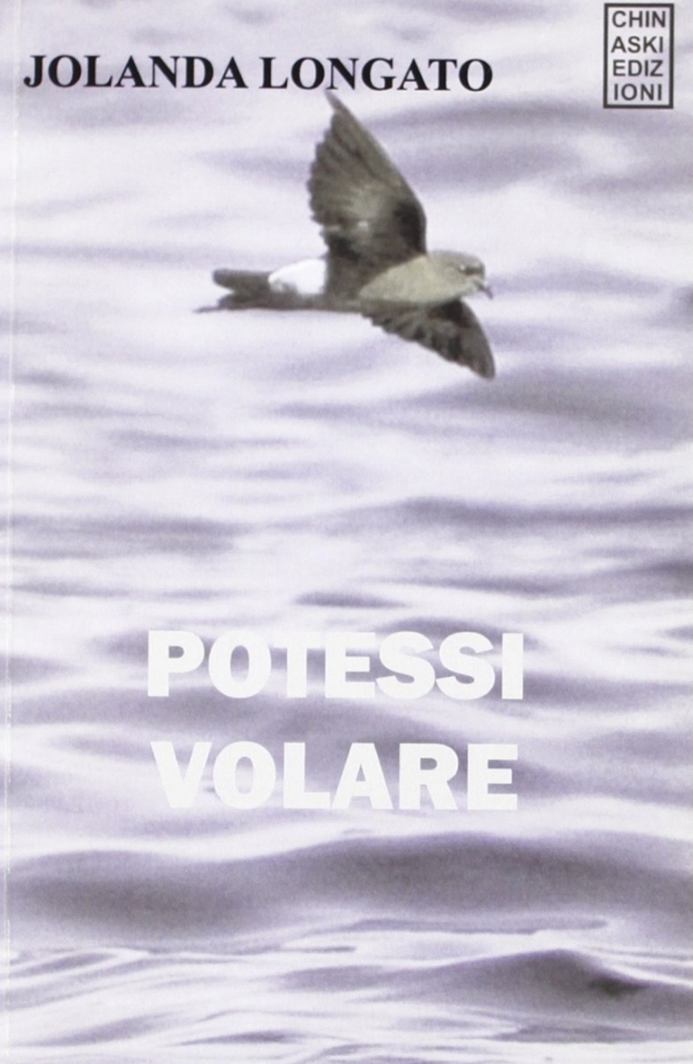Potessi volare, Genova, Chinaski Edizioni, 2010