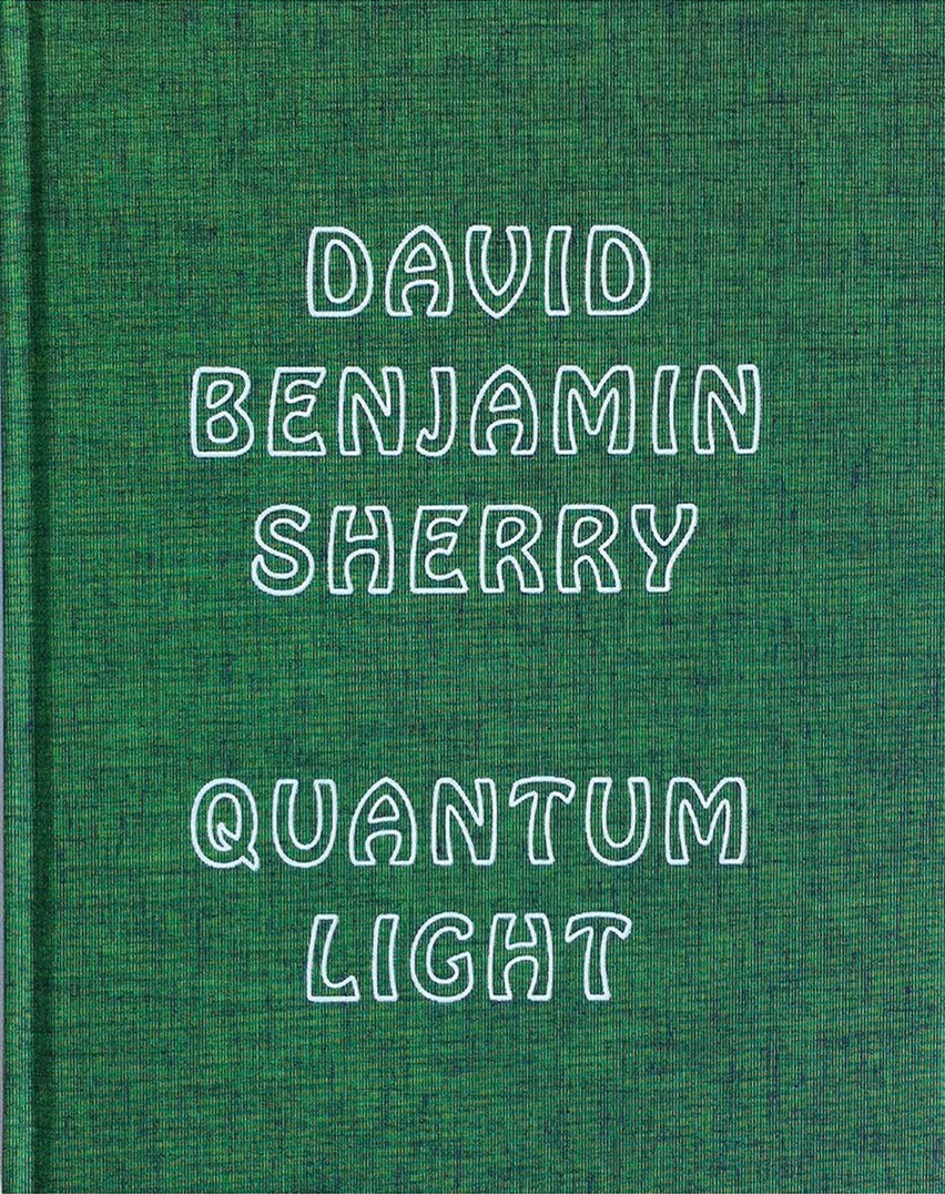 Quantum Light, Bologna, Damiani, 2012