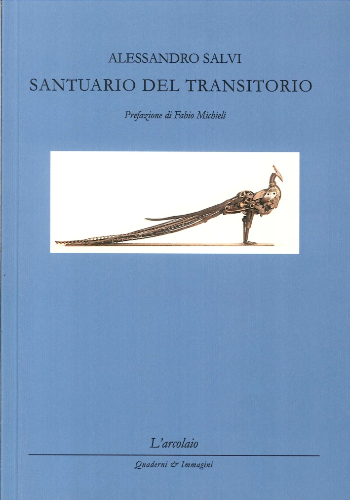 Santuario del transitorio, Forlì, L'Arcolaio, 2014