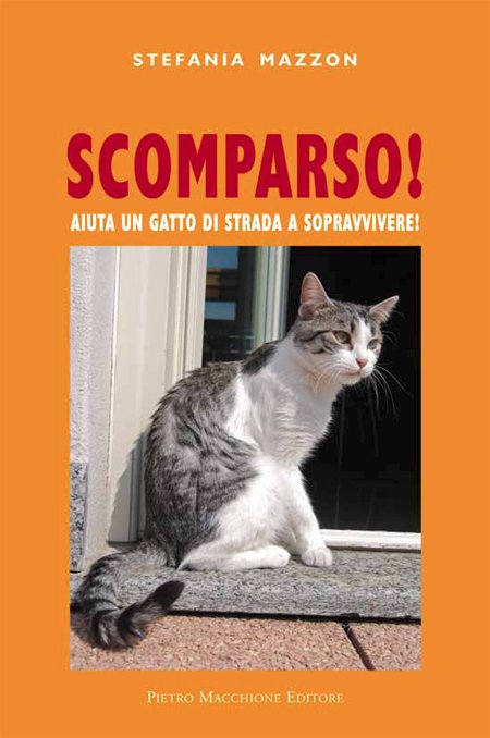 Scomparso. Aiuta un gatto di strada a sopravvivere, Varese, Macchione …