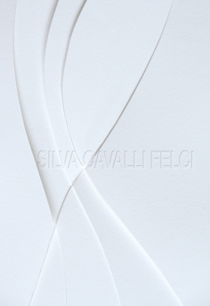 Silva Cavalli Felci. La vita è insufficiente