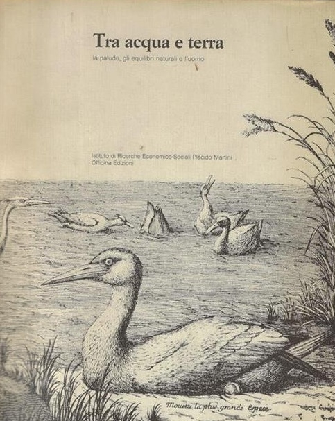 Tra acqua e terra. La palude, gli equilibri naturali e …