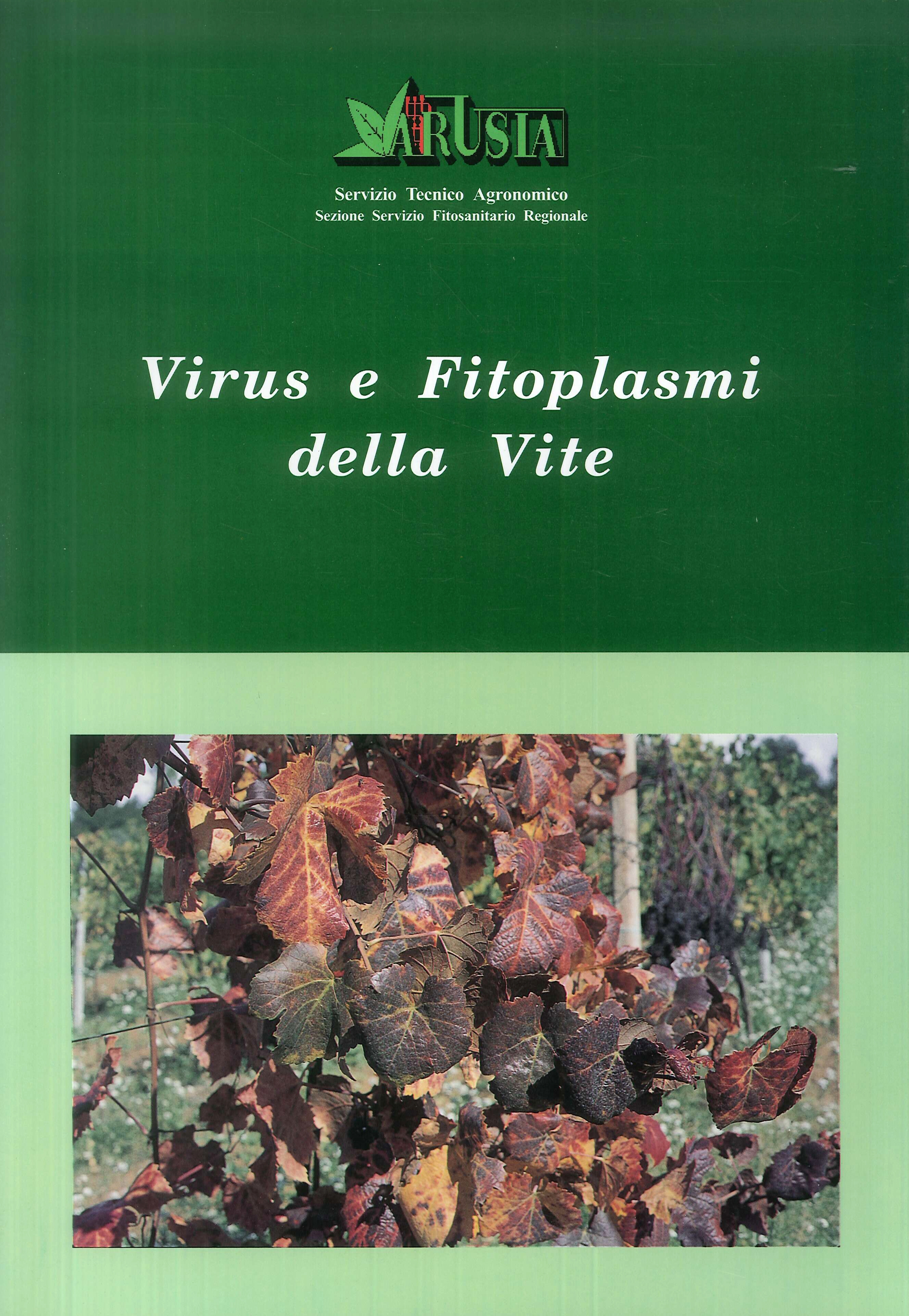 Virus e Fitoplasmi della Vite, Perugia, Arusia, 2018