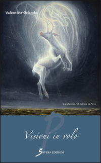 Visioni in volo, Roma, Sovera Edizioni, 2015