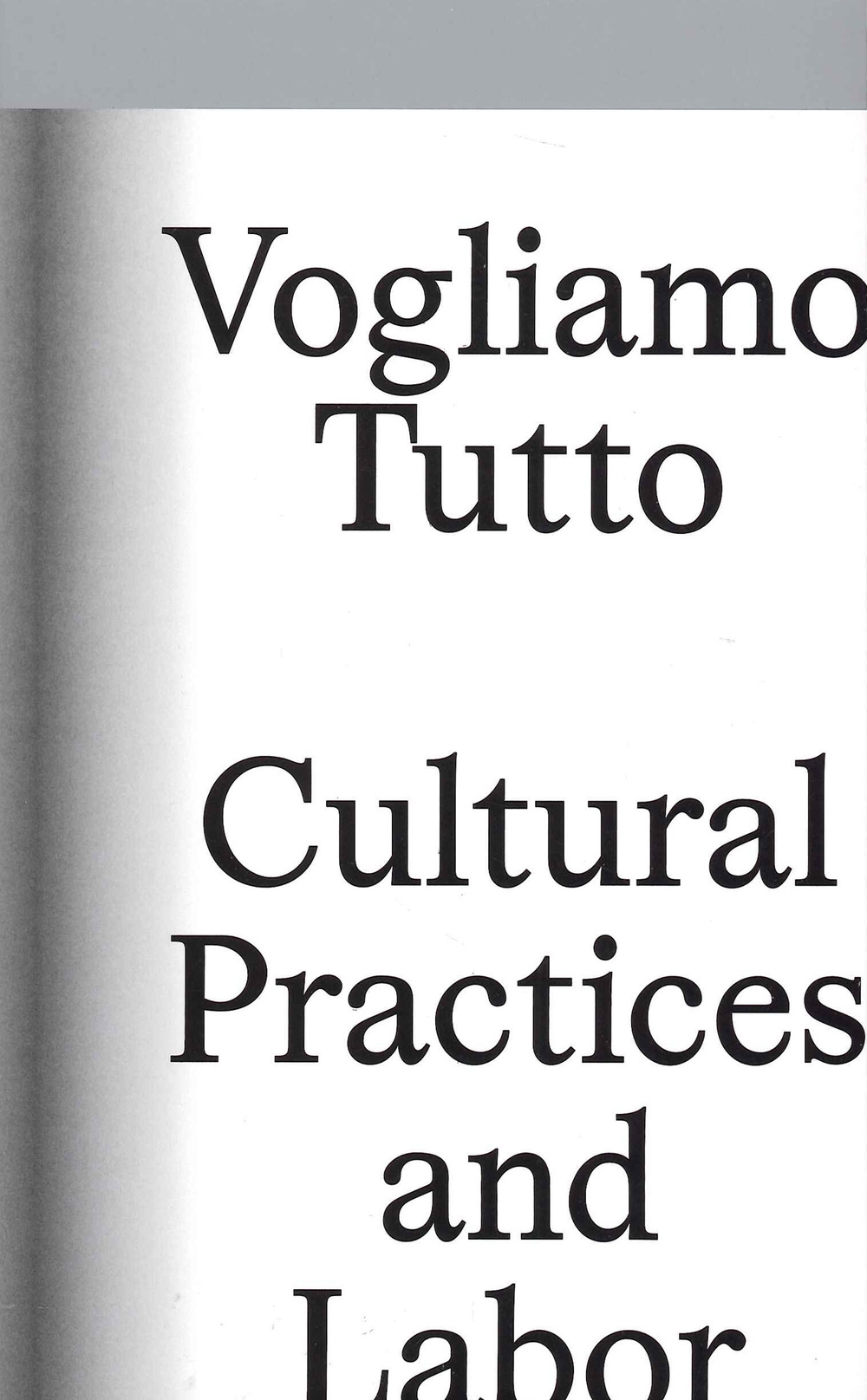 Vogliamo tutto: cultural practices and labor.