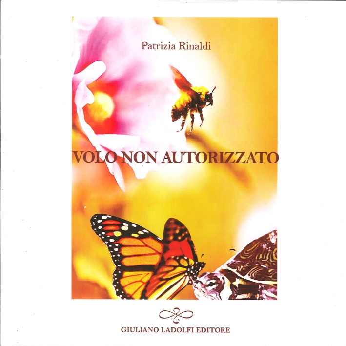 Volo non autorizzato, Borgomanero, Giuliano Ladolfi Editore, 2013