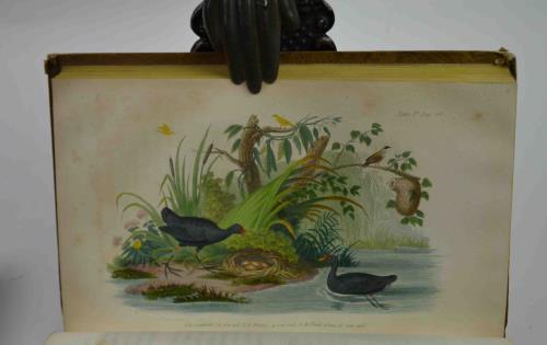 Lettres a Sophie sur la physique, la chimie et l'histoire …